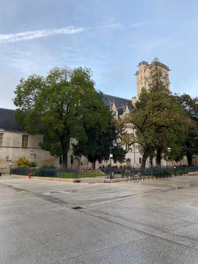 Benigne Malyon Apartment Dijon Exterior foto